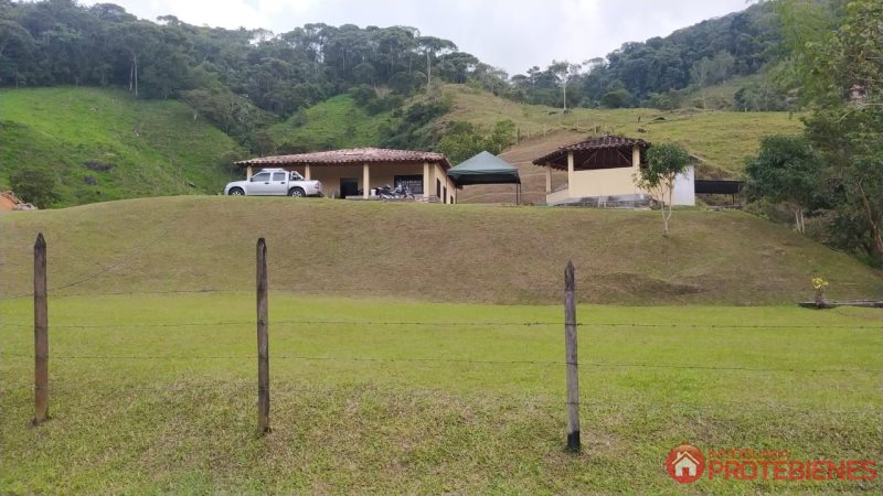 Finca en Venta en Vereda Piedra Gorda